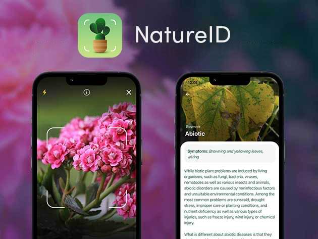 NatureID Plant Identification Lifetime Subscription